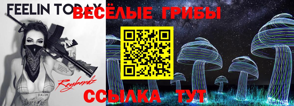 Псилоцибиновые грибы Cubensis  купить наркотик  Кыштым  Вход с VPN  Галлюциногенные грибы прущие грибы 