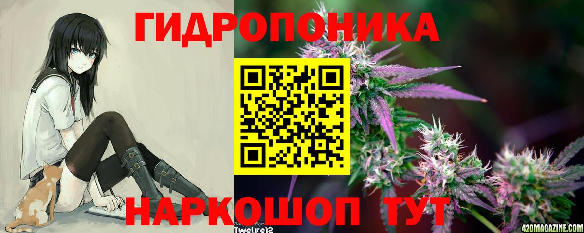 Бошки Шишки гибрид  Бошки Шишки Ganja  Вход с VPN  Кыштым  МАРИХУАНА Bruce Banner 